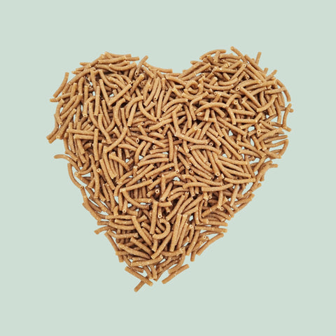 Haferkleienudeln Maccheroni